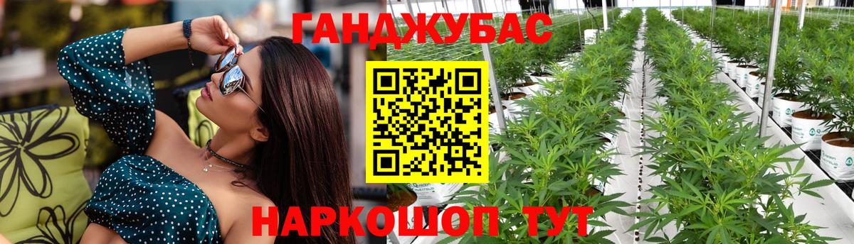 Губкин  Конопля SATIVA & INDICA  Вход с VPN  Бошки Шишки ГИДРОПОН  Шишки марихуана Amnesia  Бошки Шишки OG Kush 